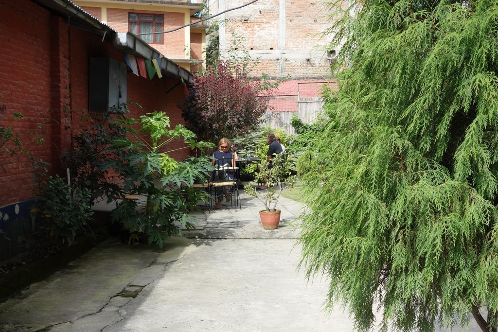 Bodhi Guest House Baudhatinchule المظهر الخارجي الصورة
